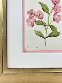 English Daisy - Pink - Diane Hill