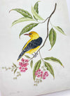 Golden Oriole Embellished Art Print - Diane Hill