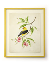 Golden Oriole Embellished Art Print - Diane Hill