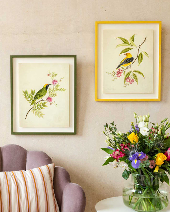 Golden Oriole & Leaf Bird Art Prints - Set Of Two - Diane Hill