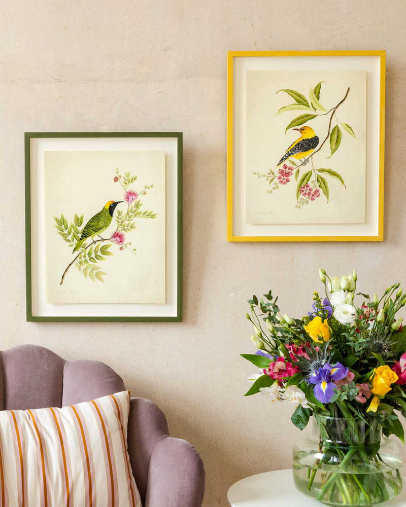 Golden Oriole & Leaf Bird Art Prints - Set Of Two - Diane Hill