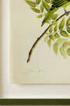 Leaf Bird Embellished Art Print - Diane Hill
