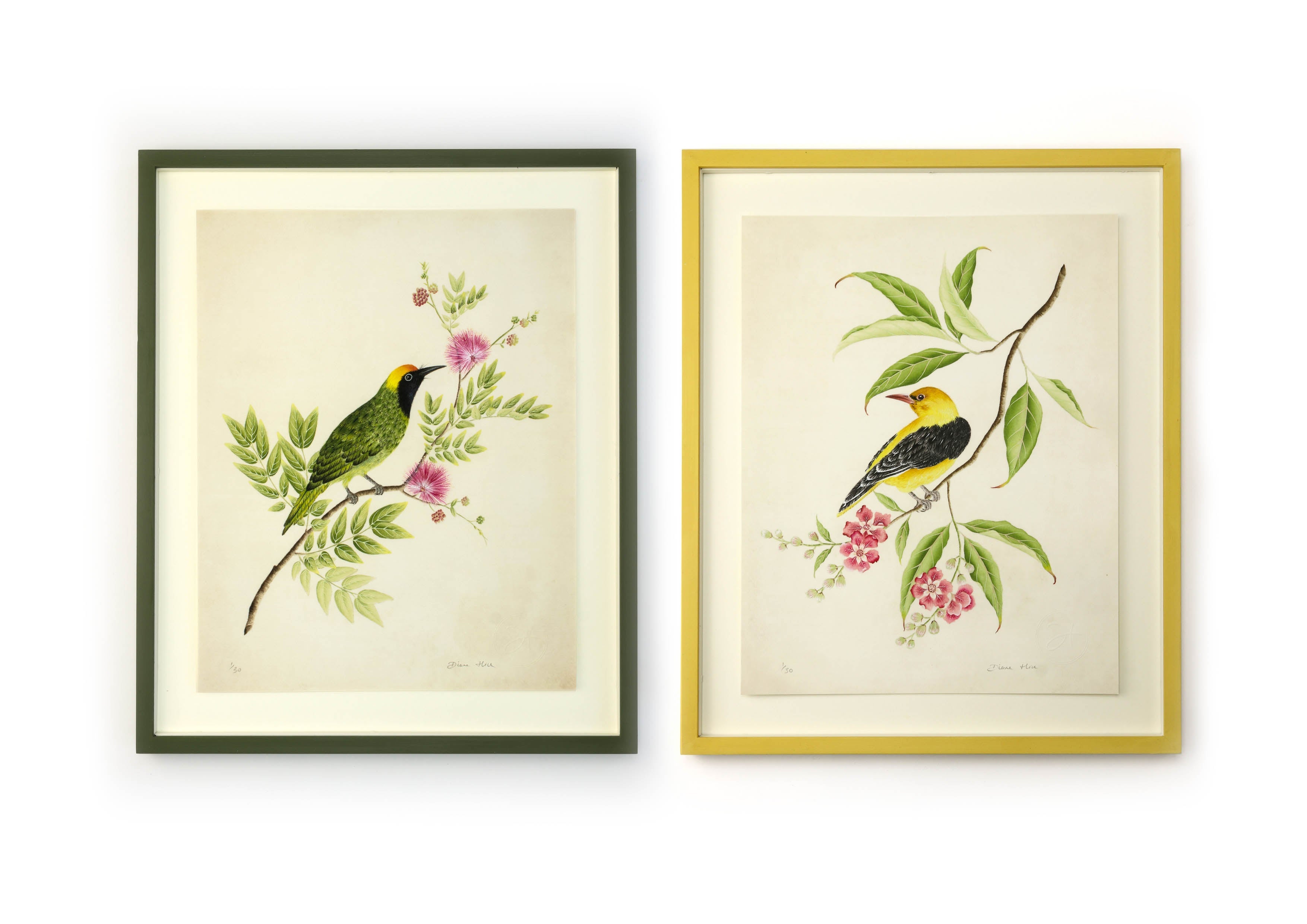 Gold top ornate framed bird lithograph