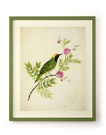 Leaf bird botanical art print bird on branch with pink flowers kitchen art
