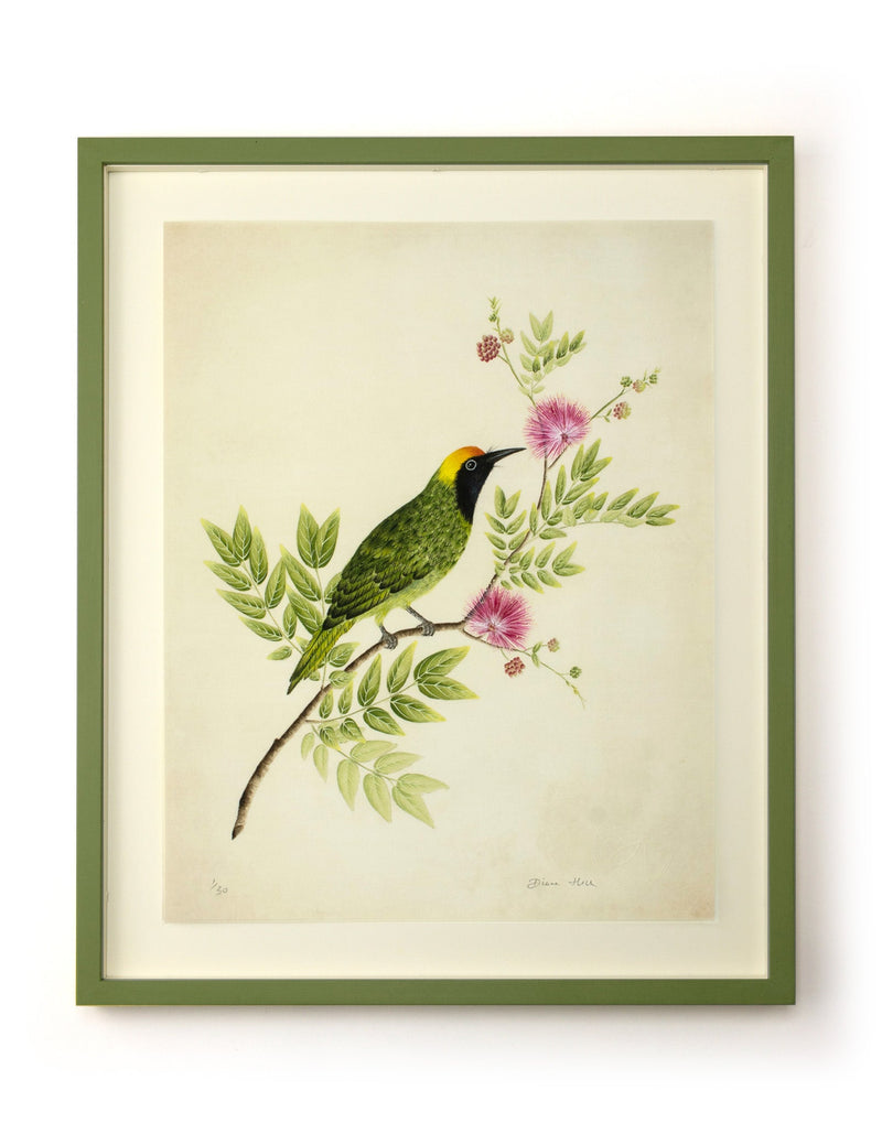 framed botanical wall art print featuring gold sparkle embellished exotic bird on tree branch with flowers