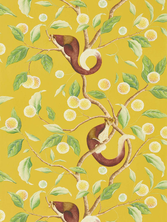 Nellie wallpaper - Honey/Meadow - Diane Hill