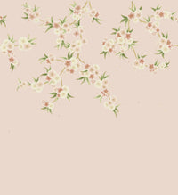 Rosa - Blush Pearl/Peony/Meadow Wallpaper - Diane Hill