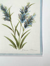 Set Of Two Pampas Original Painting - Diane Hill