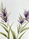 Set Of Two Pampas Original Painting - Diane Hill
