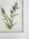 Set Of Two Pampas Original Painting - Diane Hill