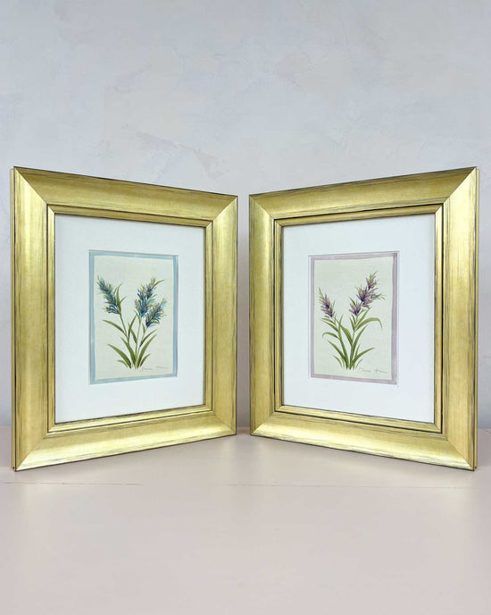 Set Of Two Pampas Original Painting - Diane Hill