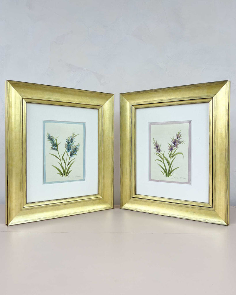 Set Of Two Pampas Original Painting - Diane Hill