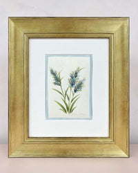 Set Of Two Pampas Original Painting - Diane Hill