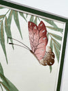 Set Of Two Wisteria And Butterfly Green Original Painting - Diane Hill