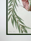Set Of Two Wisteria And Butterfly Green Original Painting - Diane Hill