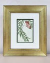 Set Of Two Wisteria And Butterfly Green Original Painting - Diane Hill