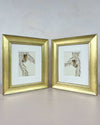 Set Of Two Wisteria And Butterfly Original Painting - Diane Hill