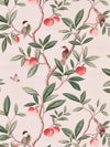 pink chinoiserie wallpaper featuring botanical birds, branches, and butterflies