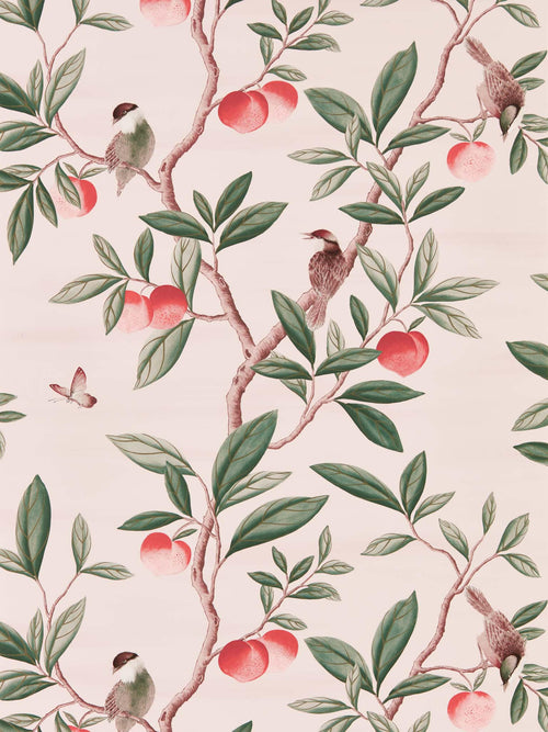 Ella chinoiserie wallpaper - Powder/Sage/Peach; Lovely interior decor