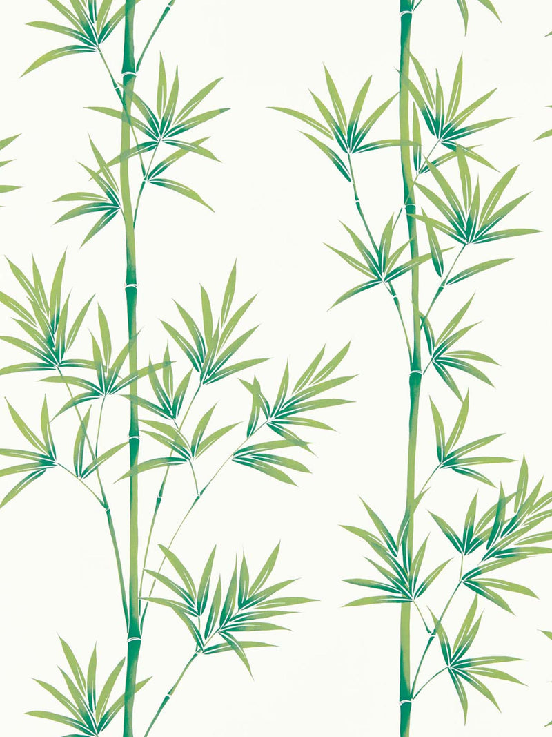 white and green botanical wallpaper featuring chinoiserie style bamboo