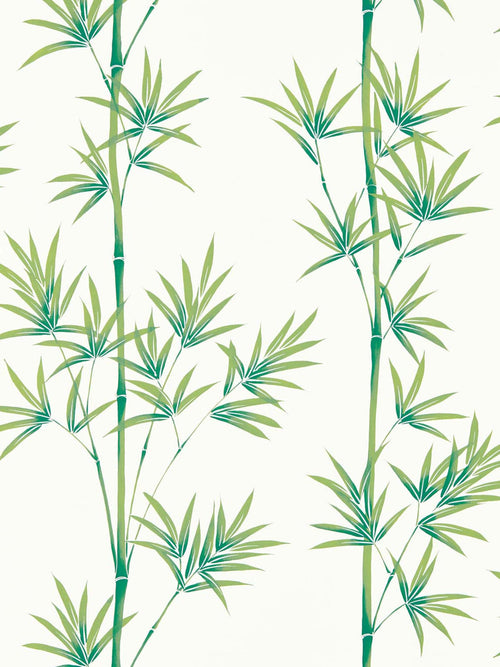 Isabella wallpaper with bamboo plants - Porcelain/Bamboo, Home design, Chinoiserie wallpaper, Botanical, Wall decor