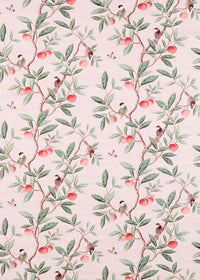 pink botanical fabric featuring chinoiserie style birds, branches, and butterflies