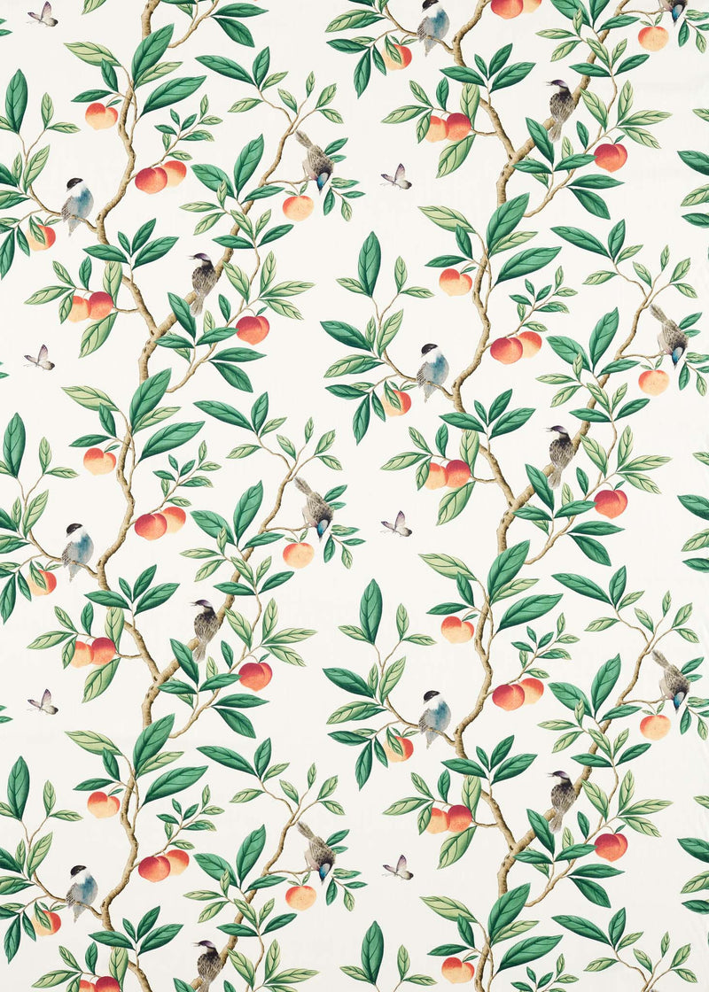 botanical fabric featuring chinoiserie style birds, branches, and butterflies