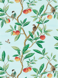 blue chinoiserie wallpaper featuring botanical birds, branches, and butterflies