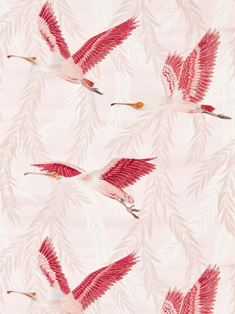 Valentina spoonbill pink botanical wallpaper - Blush/Blossom