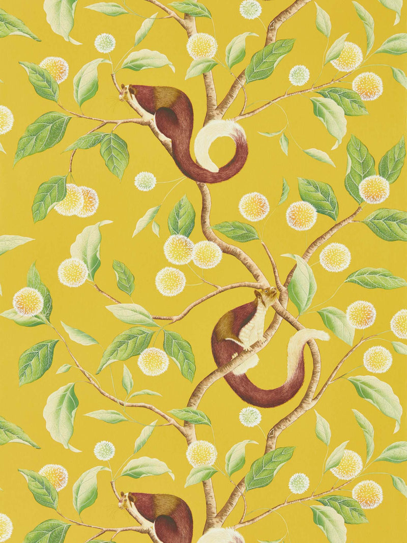 yellow botanical wallpaper featuring chinoiserie style animals and fruit