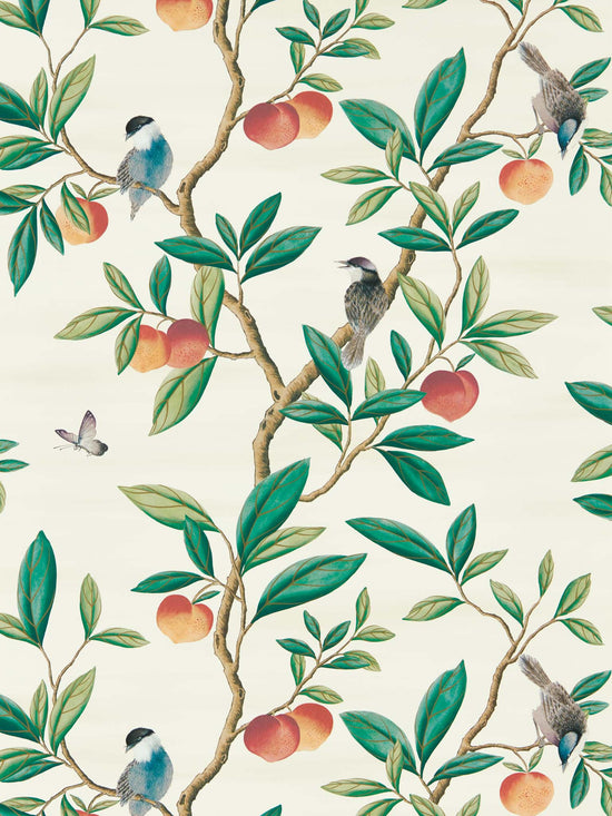 botanical wallpaper featuring chinoiserie style birds, branches, and butterflies 