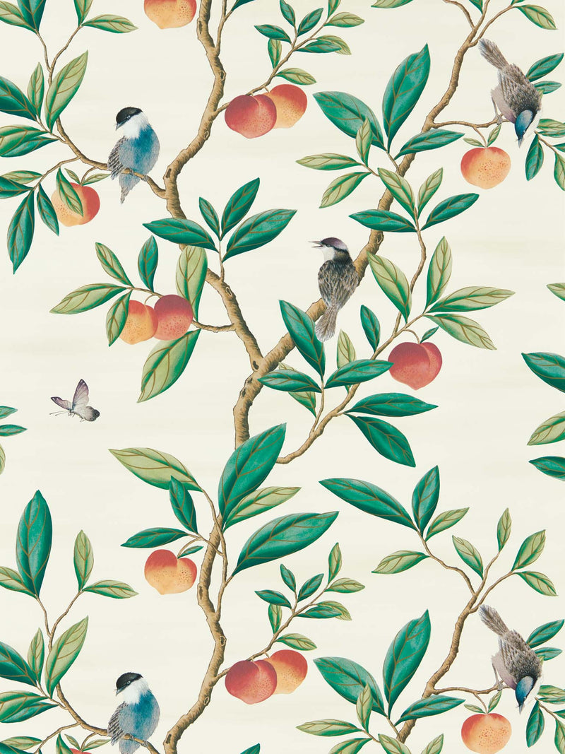 botanical wallpaper featuring chinoiserie style birds, branches, and butterflies 